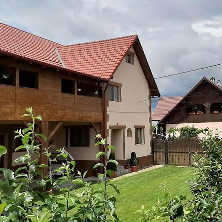 Dragus Casa Monicaゲストハウス エクステリア 写真