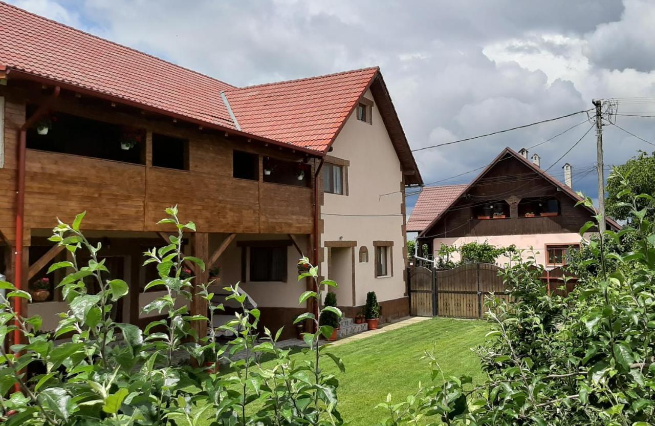 Dragus Casa Monicaゲストハウス エクステリア 写真