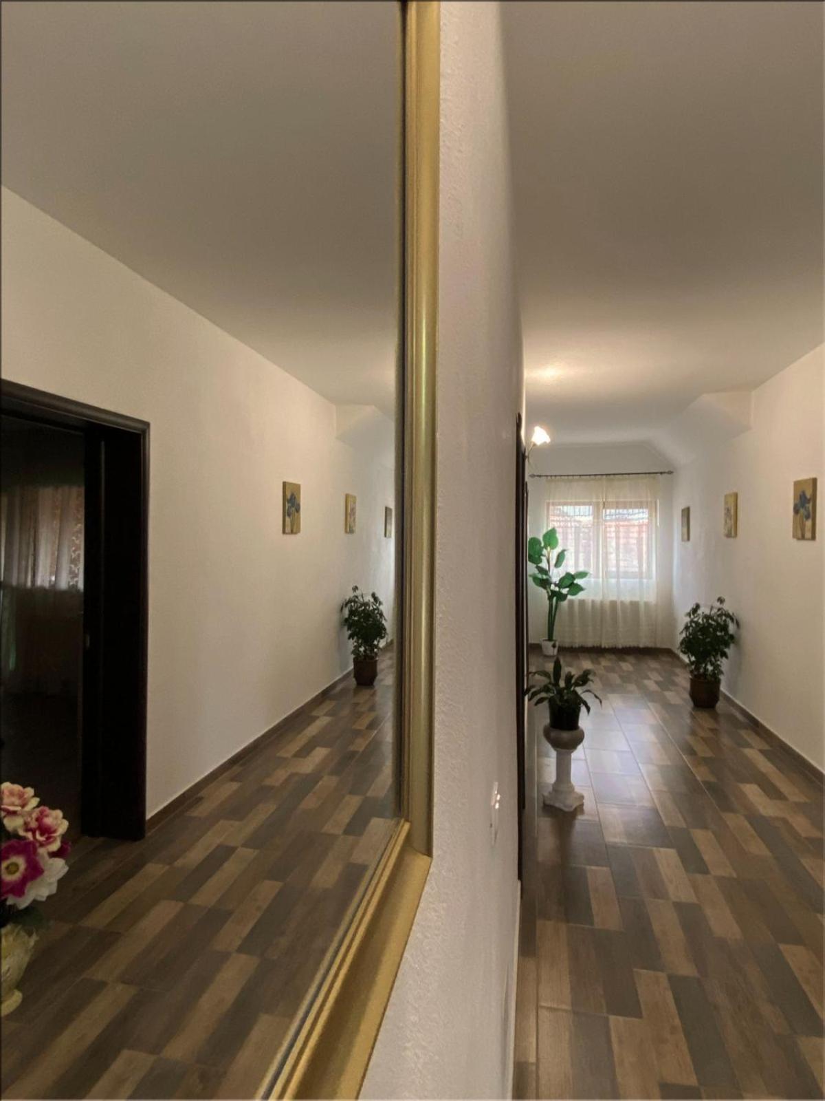 Dragus Casa Monicaゲストハウス エクステリア 写真